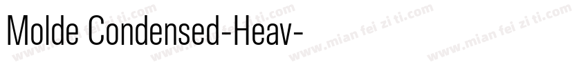 Molde Condensed-Heav字体转换